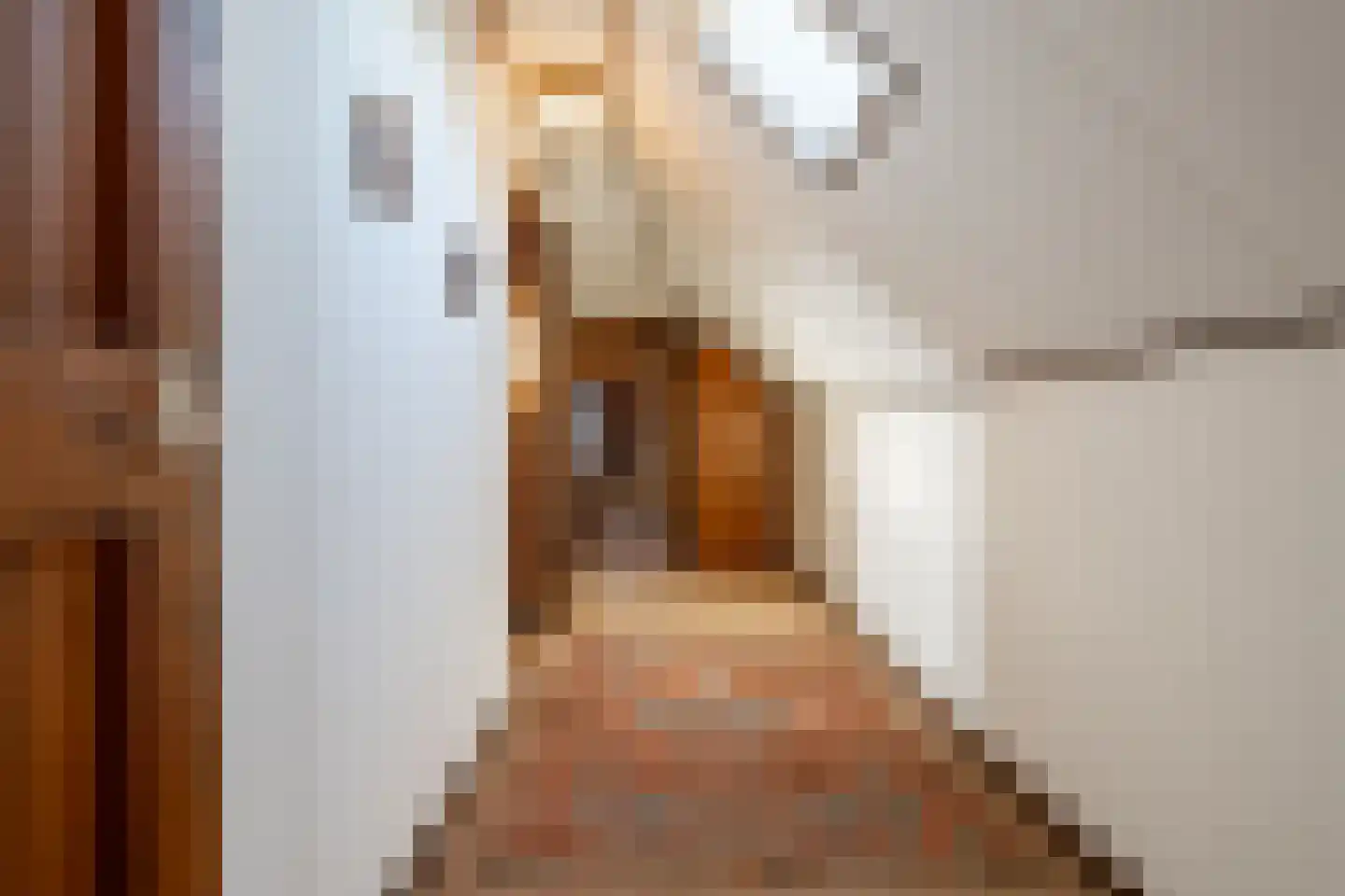 Fransepad 38 Blaricum thumbnail 32