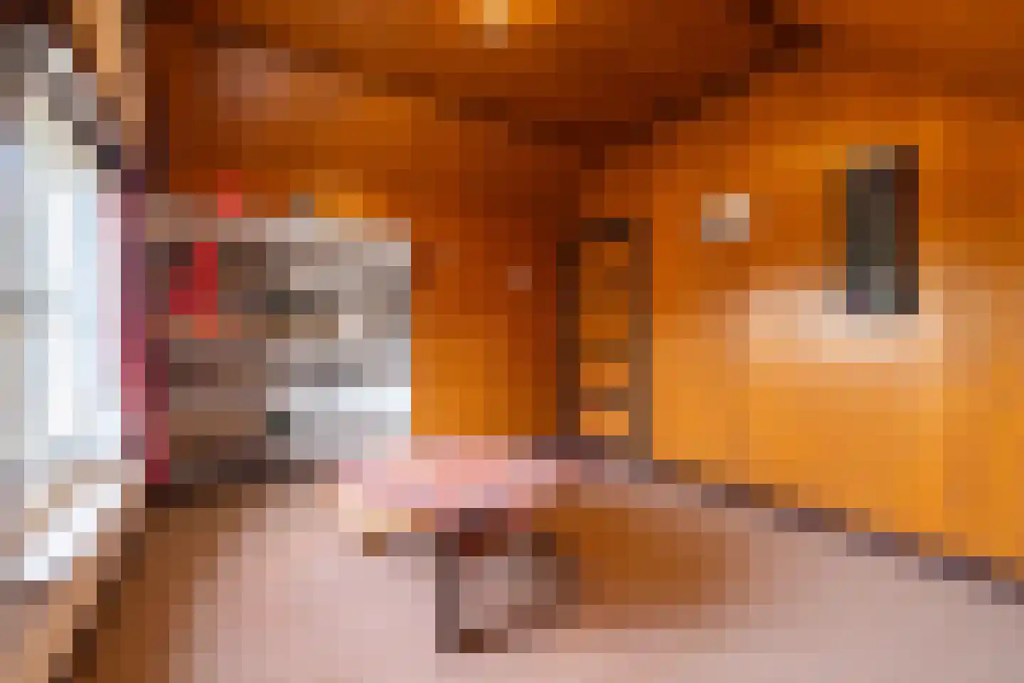 Fransepad 38 Blaricum thumbnail 33