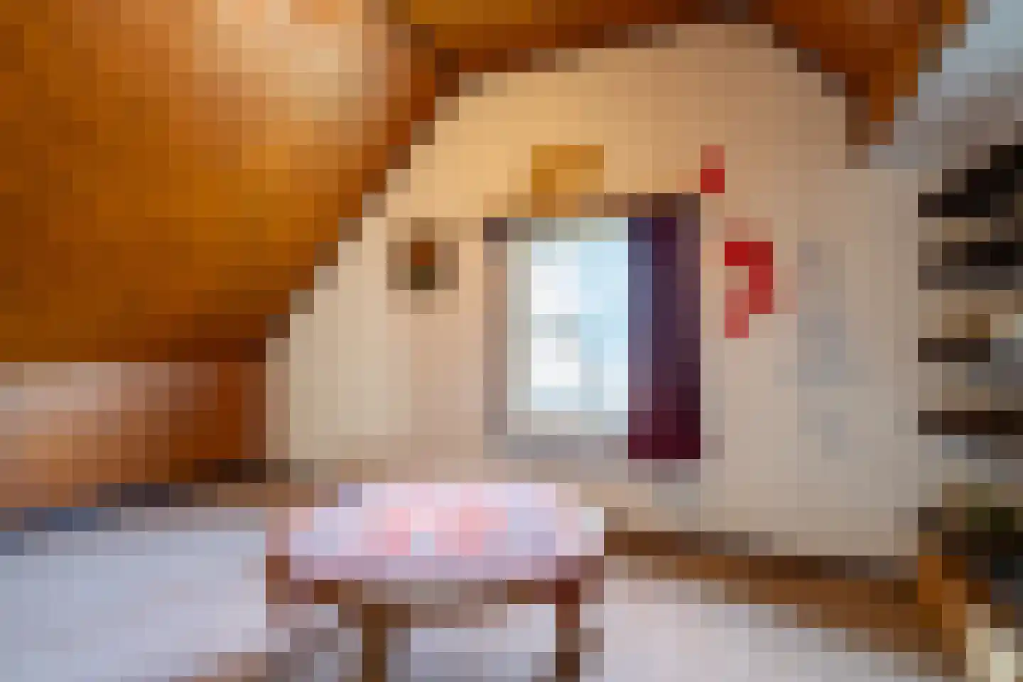 Fransepad 38 Blaricum thumbnail 34
