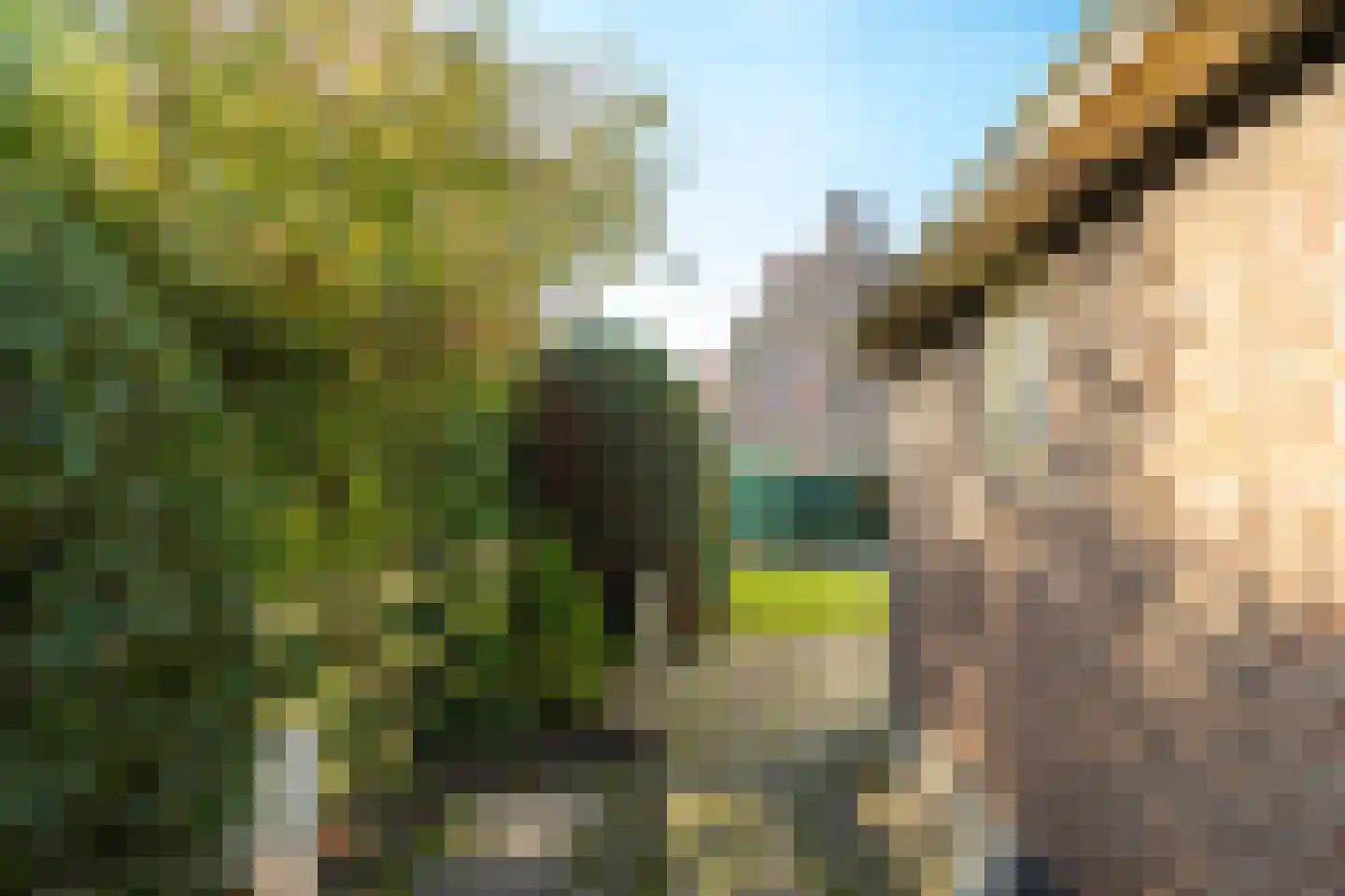 Fransepad 38 Blaricum thumbnail 43