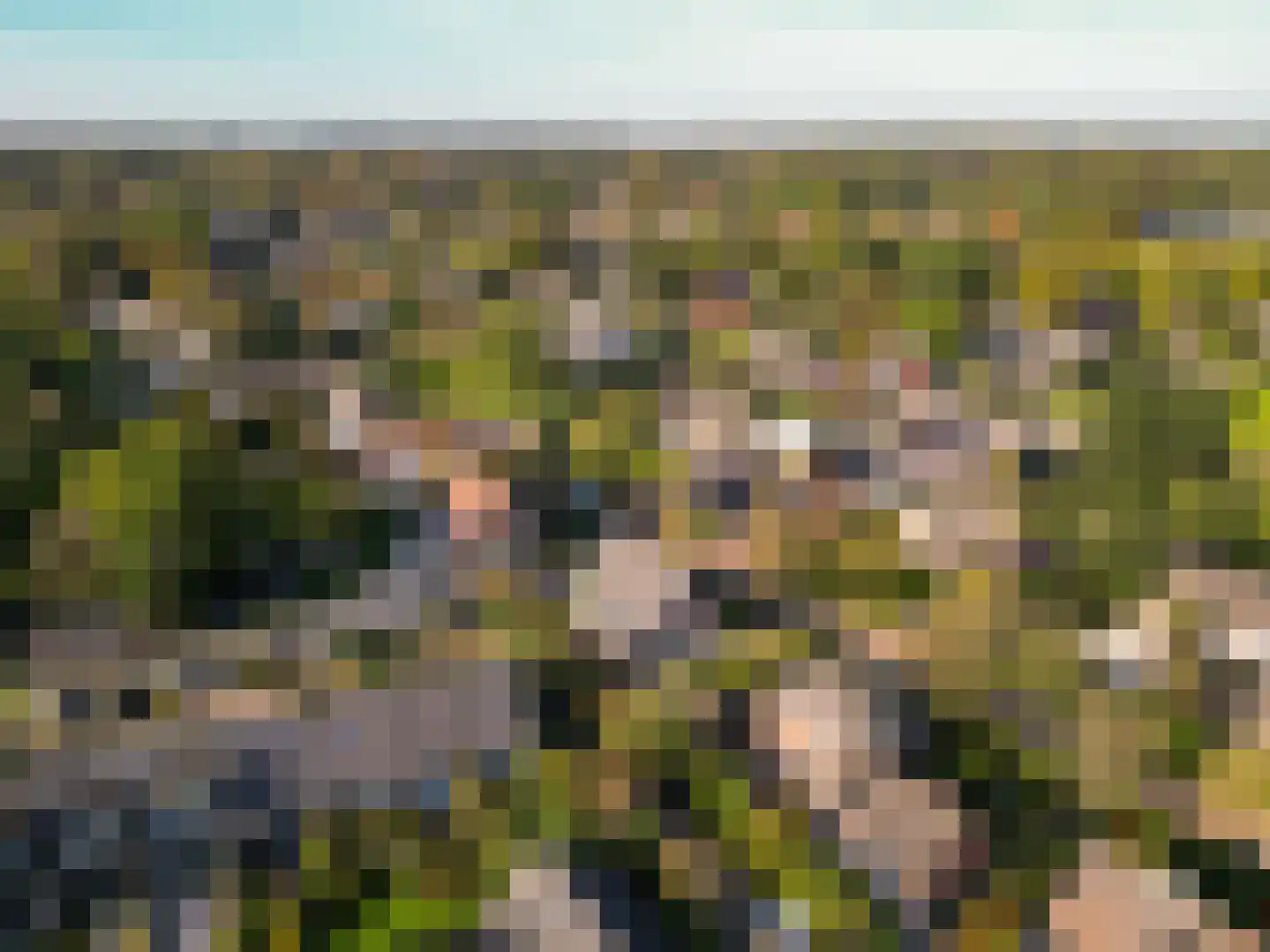 Fransepad 38 Blaricum thumbnail 57
