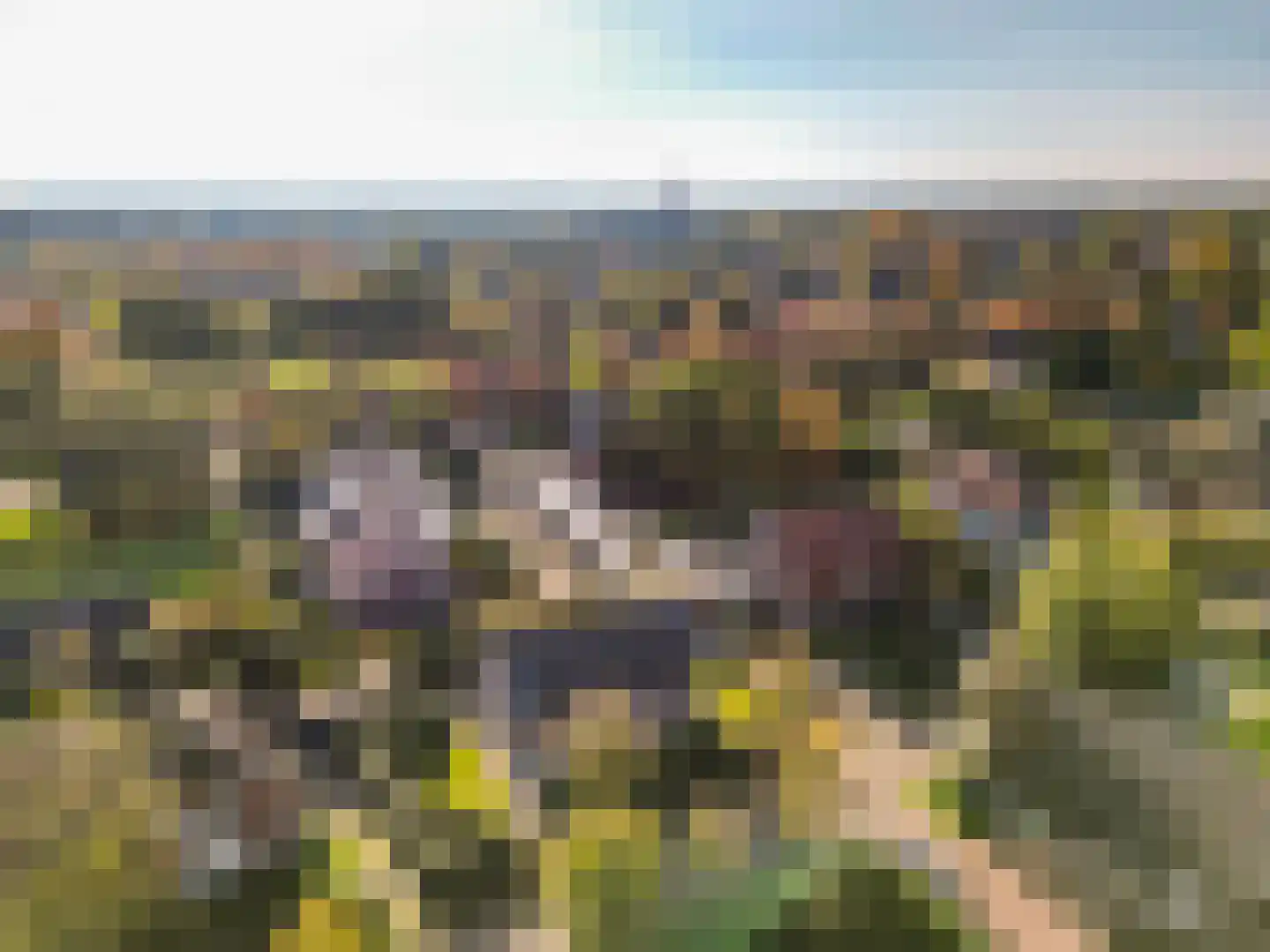 Fransepad 38 Blaricum thumbnail 60