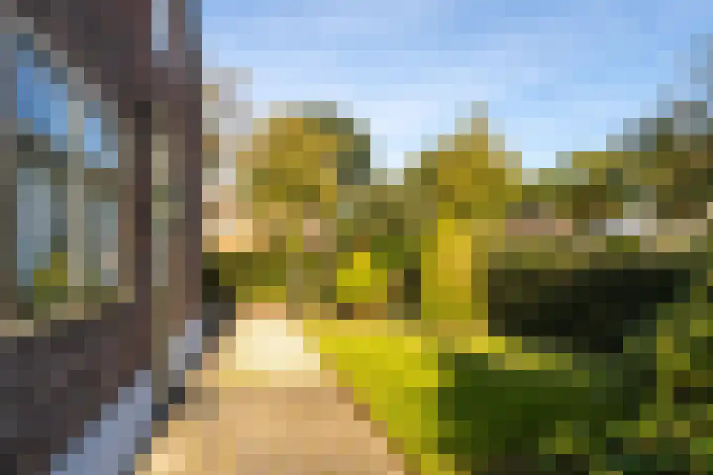 Fransepad 38 Blaricum thumbnail 7