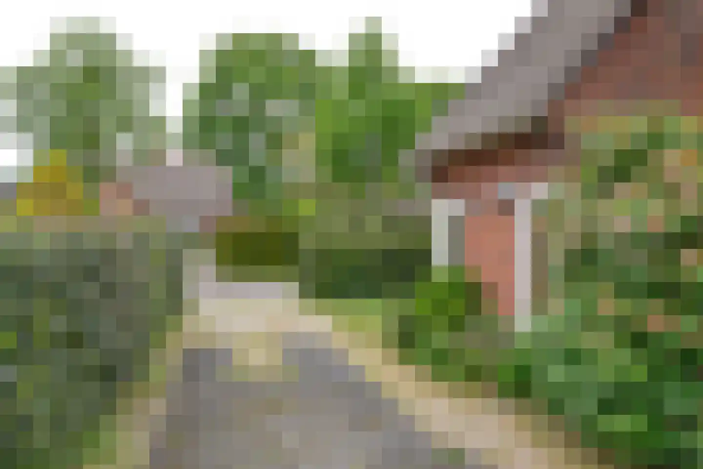 Fransepad 40 Blaricum thumbnail 26