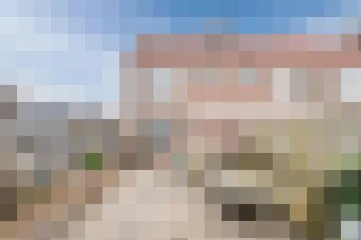 Fransepad 41 Noord-Scharwoude thumbnail 27