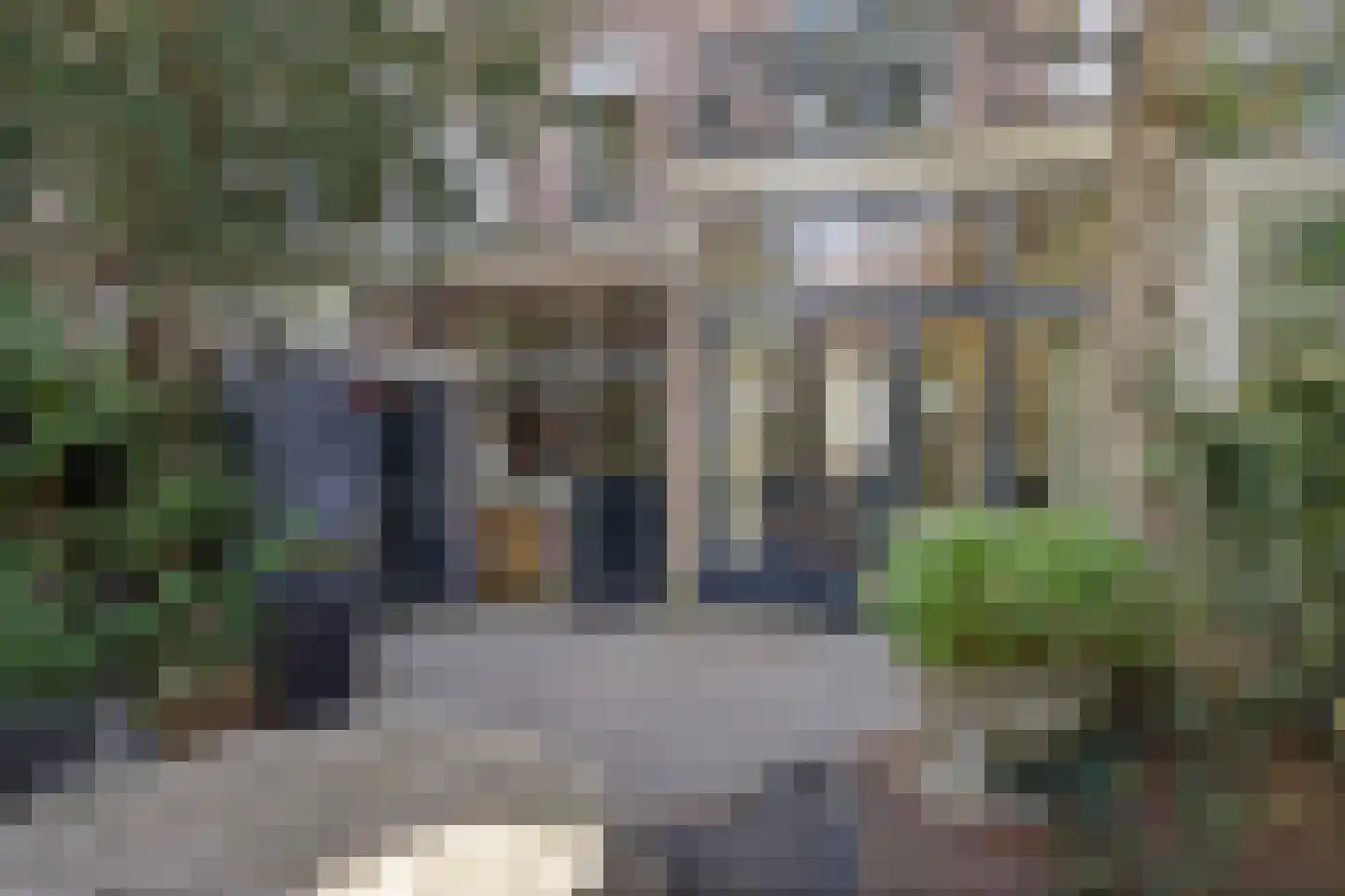 Fransestraat 38 Nijmegen thumbnail 24
