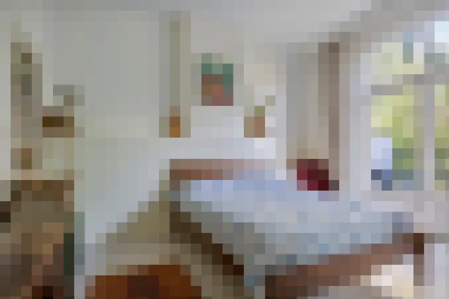 Fransestraat 38 Nijmegen thumbnail 41