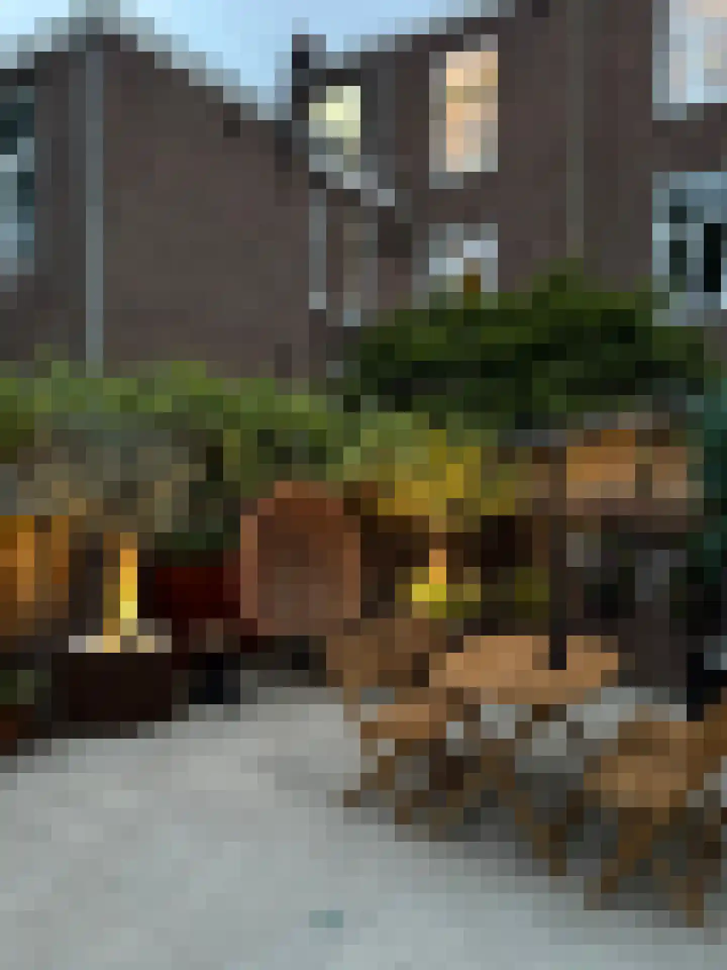 Fransestraat 39 Nijmegen thumbnail 44