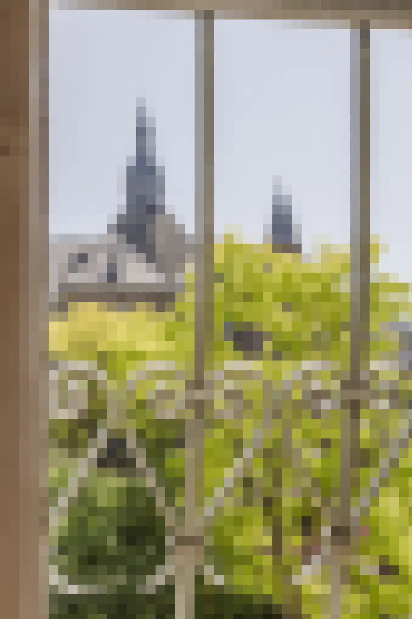 Fransestraat 5 A Nijmegen thumbnail 10