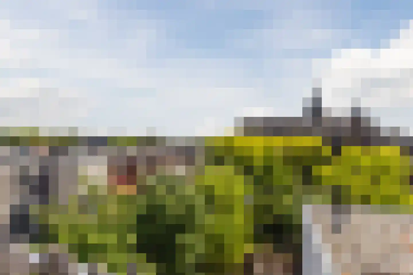 Fransestraat 5 B Nijmegen thumbnail 20