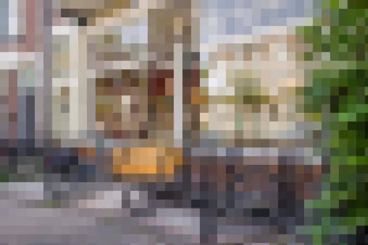 Fransestraat 5 B Nijmegen thumbnail 31