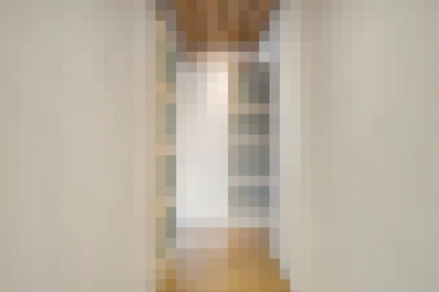 Fransestraat 77 E Nijmegen thumbnail 16