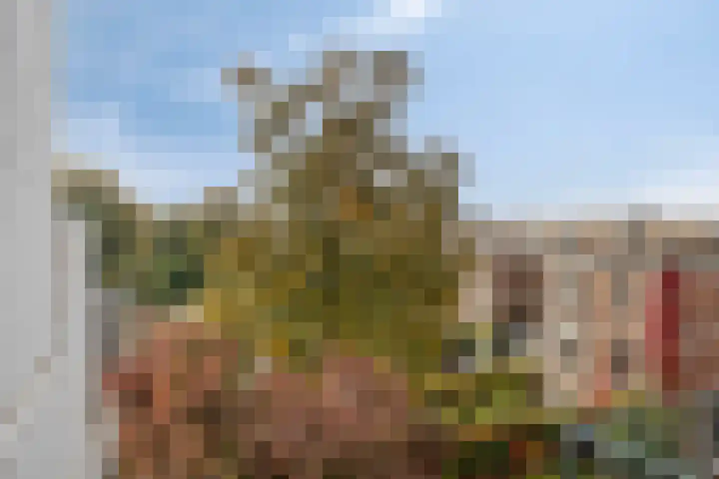 Fransestraat 77 E Nijmegen thumbnail 22