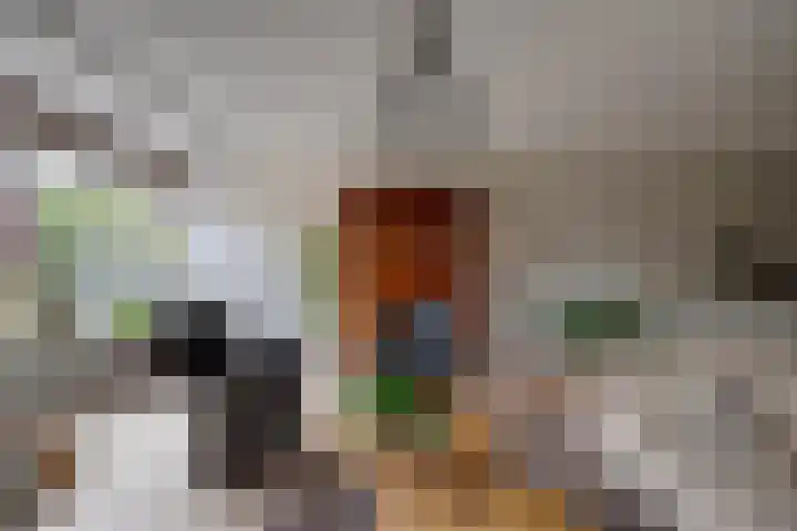 Fransetuinlaan 1 Vleuten thumbnail 12