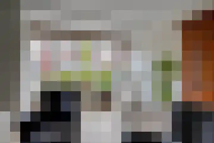 Fransetuinlaan 1 Vleuten thumbnail 13