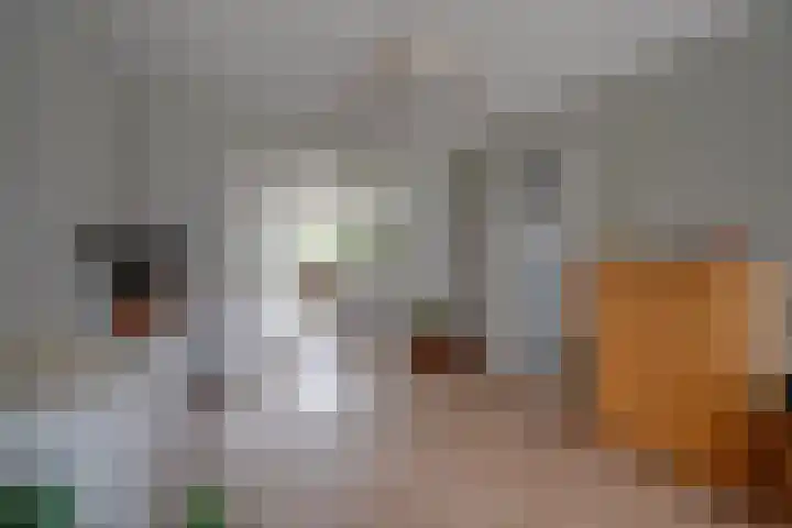 Fransetuinlaan 1 Vleuten thumbnail 15