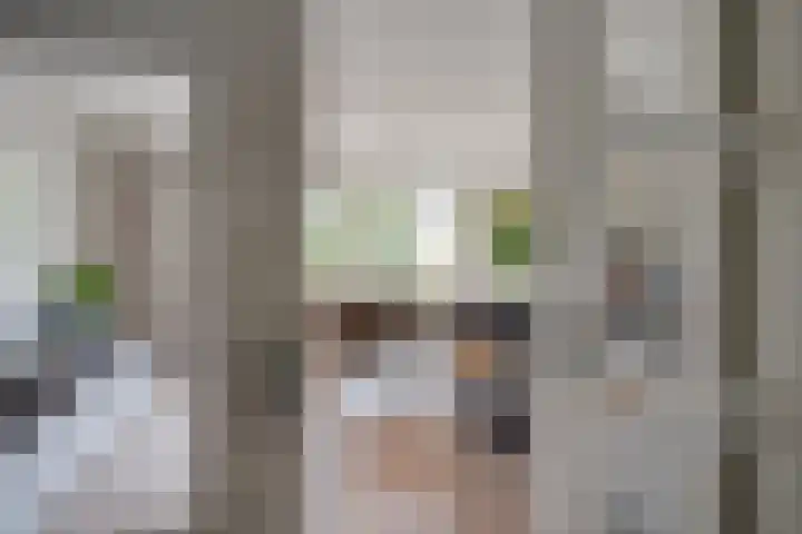 Fransetuinlaan 1 Vleuten thumbnail 16