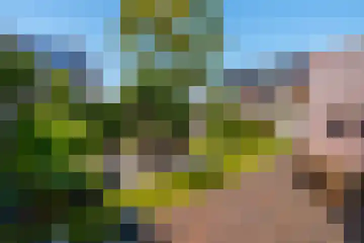 Fransetuinlaan 1 Vleuten thumbnail 23