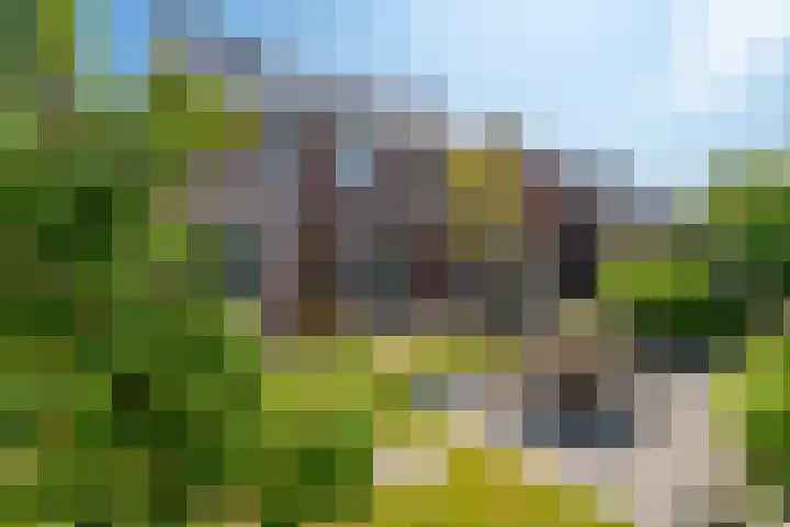 Fransetuinlaan 1 Vleuten thumbnail 4