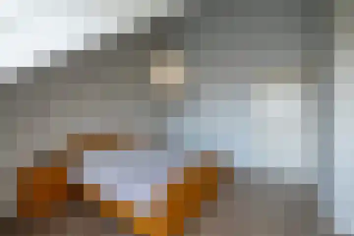 Fransetuinlaan 1 Vleuten thumbnail 43