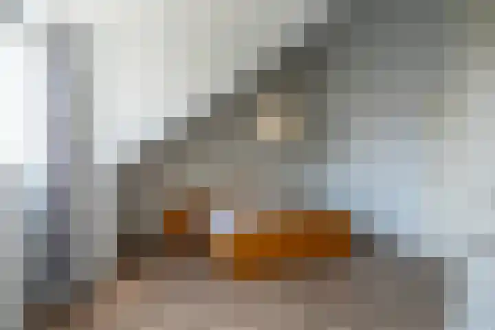 Fransetuinlaan 1 Vleuten thumbnail 44