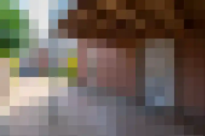 Fransetuinlaan 1 Vleuten thumbnail 52