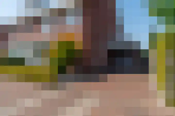 Fransetuinlaan 1 Vleuten thumbnail 53