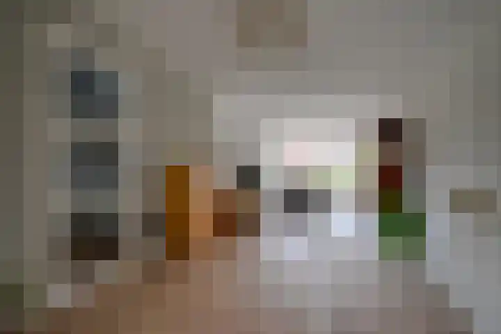 Fransetuinlaan 1 Vleuten thumbnail 8