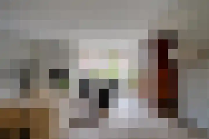 Fransetuinlaan 1 Vleuten thumbnail 9