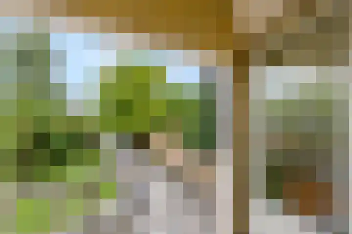 Franseweg 106 Elst Ut thumbnail 30