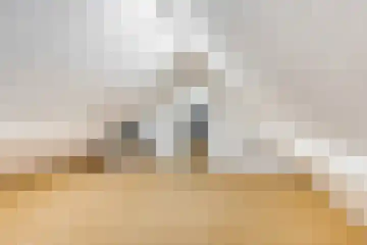 Franseweg 106 Elst Ut thumbnail 33