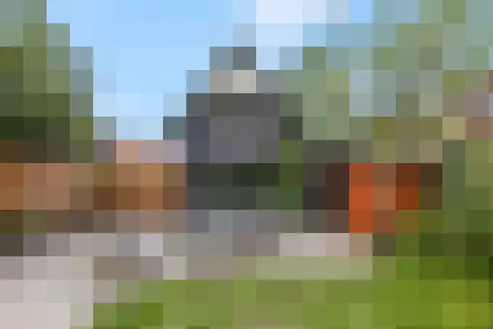 Franseweg 106 Elst Ut thumbnail 34