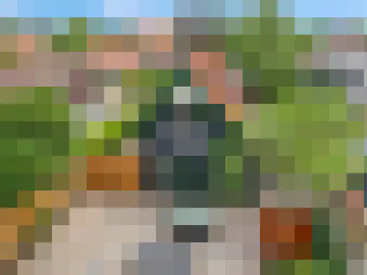 Franseweg 106 Elst Ut thumbnail 35