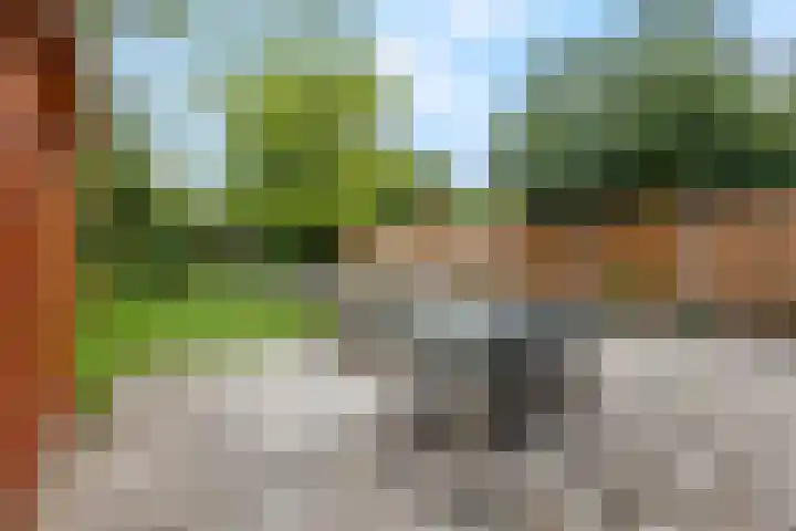 Franseweg 106 Elst Ut thumbnail 36