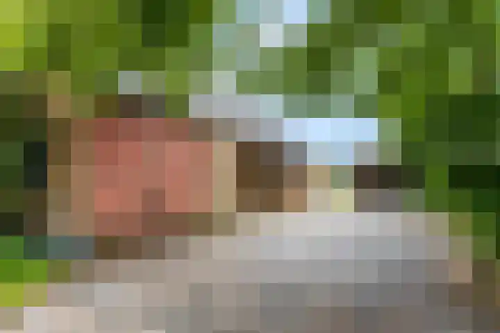 Franseweg 106 Elst Ut thumbnail 38