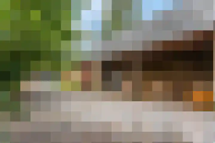 Franseweg 106 Elst Ut thumbnail 39