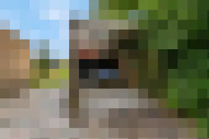 Franseweg 106 Elst Ut thumbnail 43