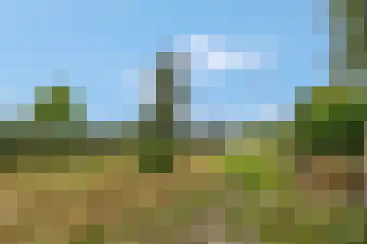 Franseweg 106 Elst Ut thumbnail 44