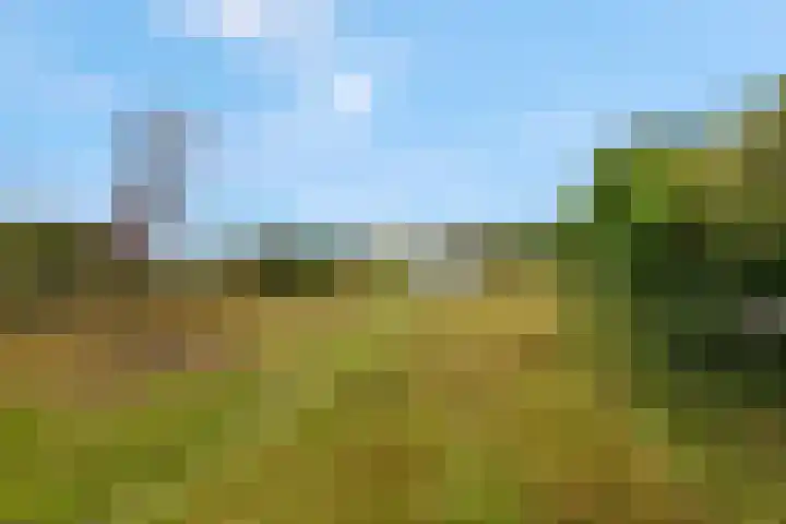 Franseweg 106 Elst Ut thumbnail 45