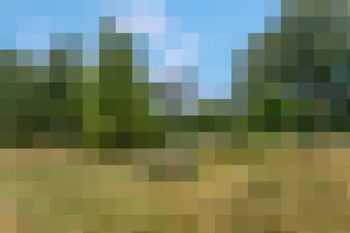 Franseweg 106 Elst Ut thumbnail 46