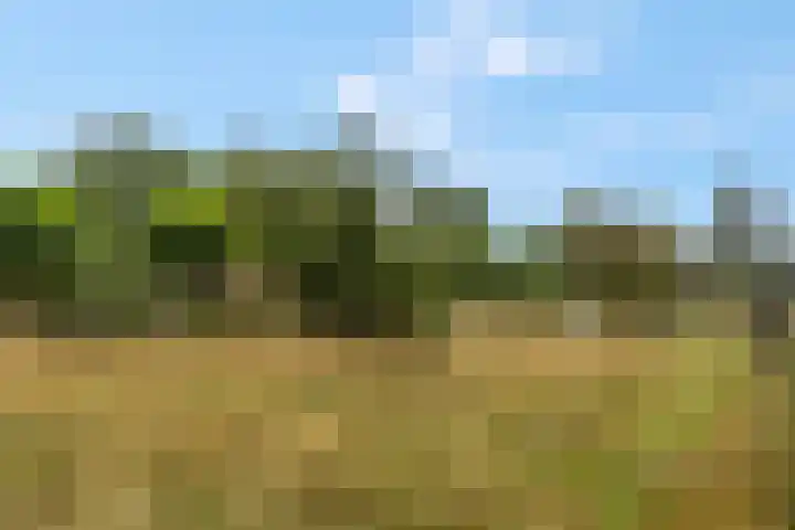 Franseweg 106 Elst Ut thumbnail 47