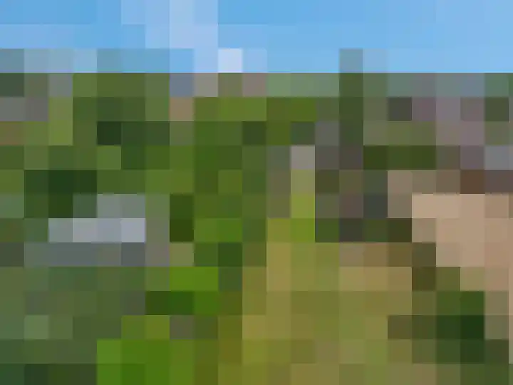 Franseweg 106 Elst Ut thumbnail 51