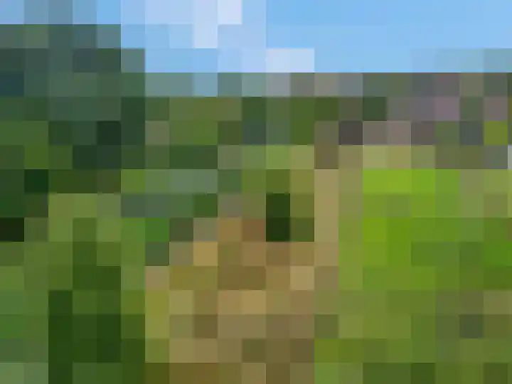 Franseweg 106 Elst Ut thumbnail 52