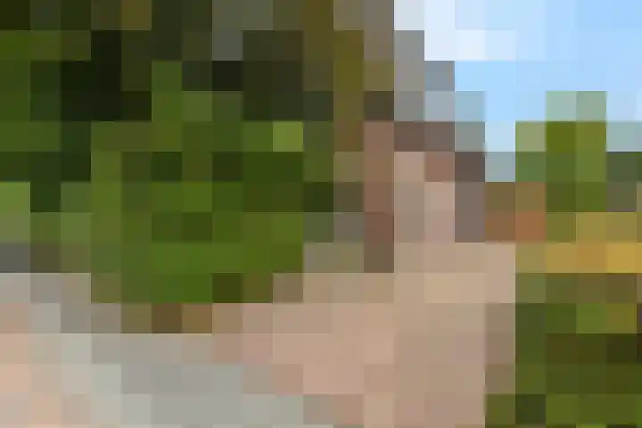 Franseweg 106 Elst Ut thumbnail 55