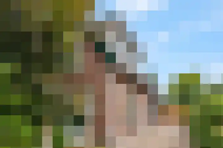 Franseweg 106 Elst Ut thumbnail 56
