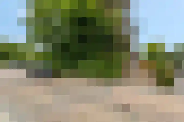 Franseweg 106 Elst Ut thumbnail 60