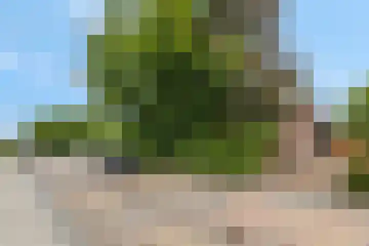 Franseweg 106 Elst Ut thumbnail 61