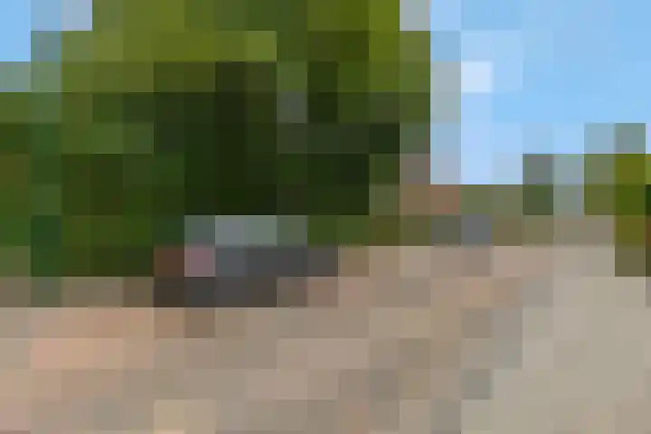 Franseweg 106 Elst Ut thumbnail 62