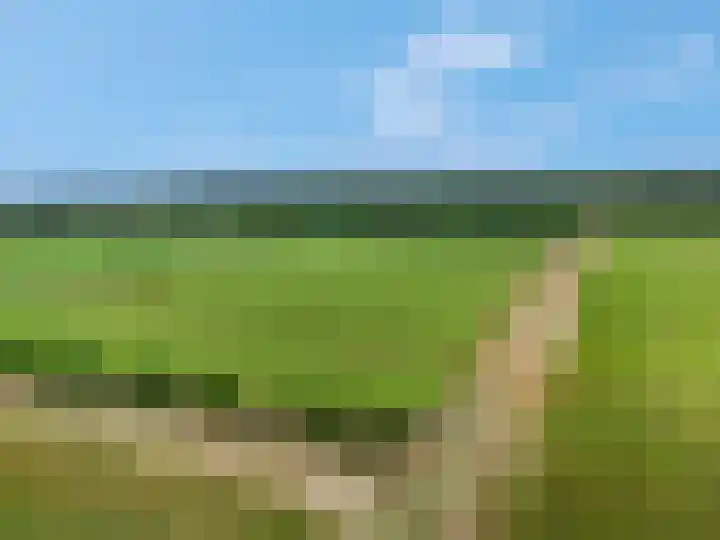 Franseweg 106 Elst Ut thumbnail 63