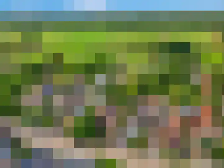 Franseweg 106 Elst Ut thumbnail 64